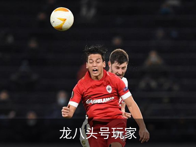 关于龙八头号玩家